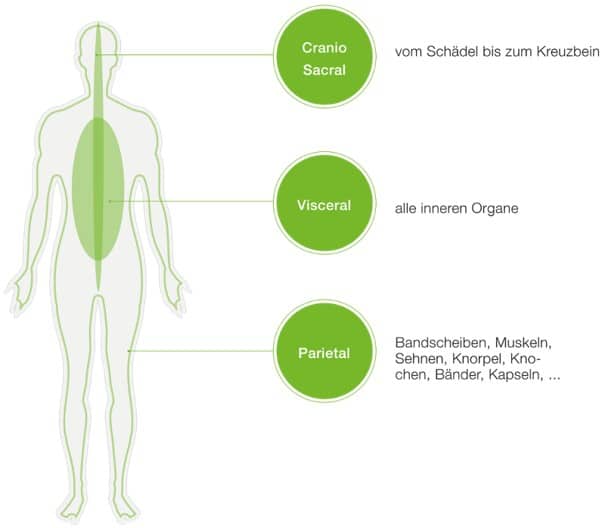 osteo info